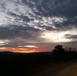 Meet your Posher, Dineen